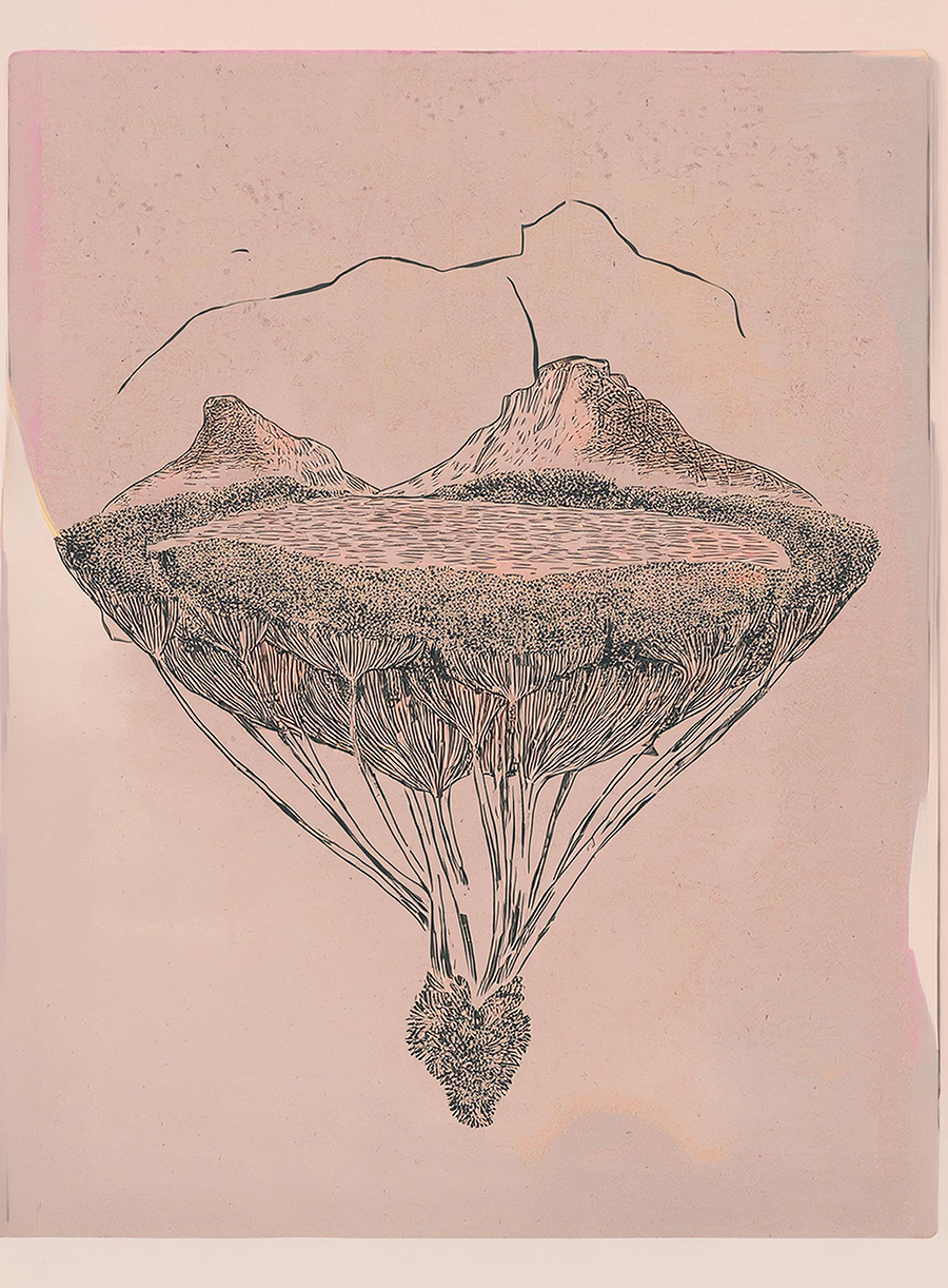 Suspended Fynbos